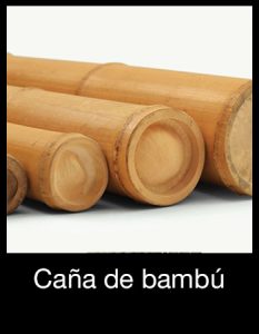 STOA - Cañas de bambú