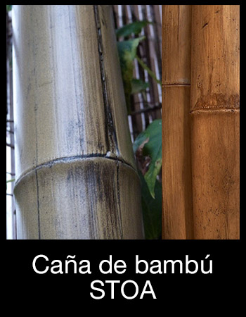STOA Caña de bambú STOA