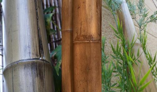 1 Caña de bambú Stoa