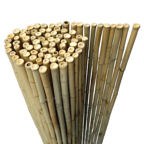 1 Rollo de bambú