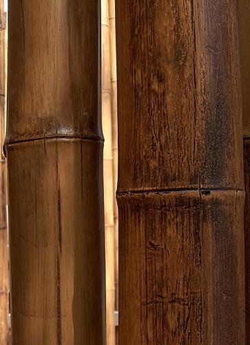 20 Caña de bambú Stoa