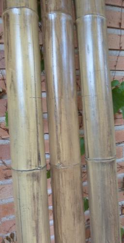 8-Caña-de-bambú-Stoa